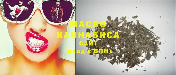 индика Абинск
