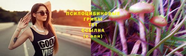 экстази Гусев
