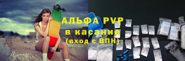 индика Абинск