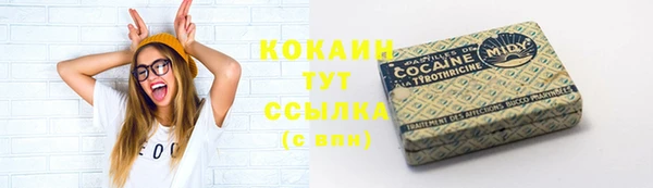 индика Абинск